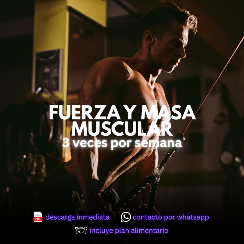 Plan para ganar fuerza y masa muscular – 4 veces por semana